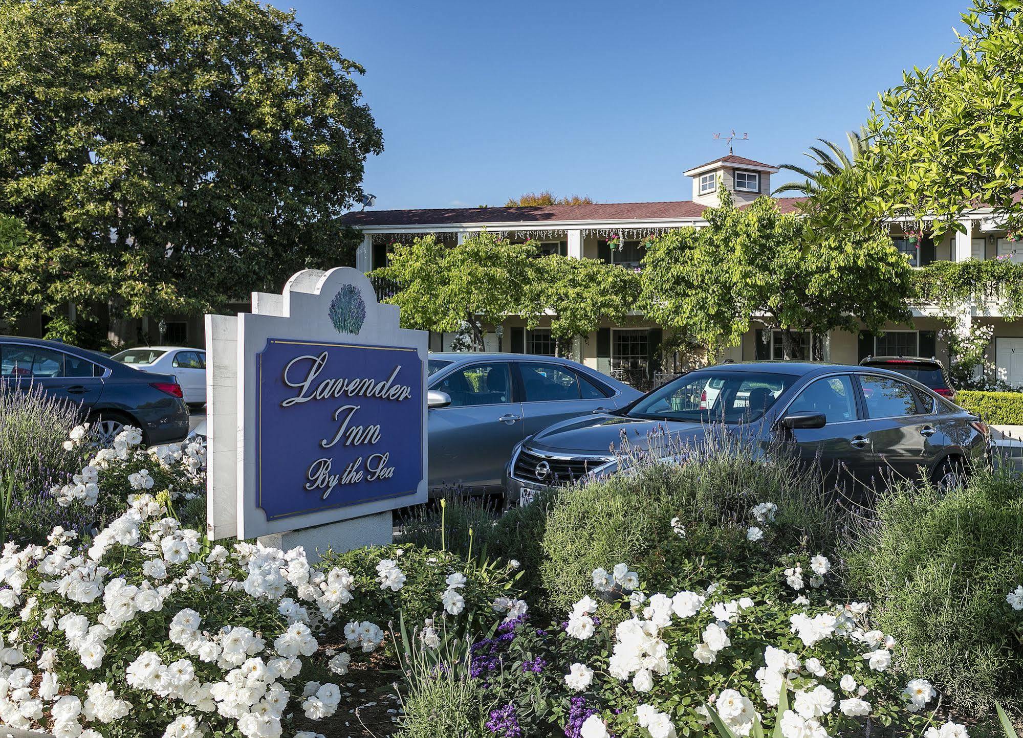 Lavender Inn By The Sea Santa Barbara Eksteriør billede